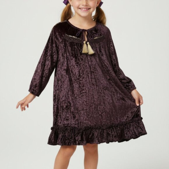 Velveteen Girls Crushed Velvet Dress Size 4 Ruffles Tassels Purple Gold - Picture 1 of 6